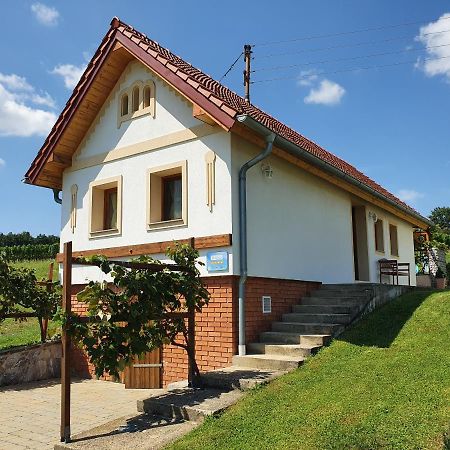 Kellerstoeckl Weinberg Villa Eisenberg an der Pinka Buitenkant foto