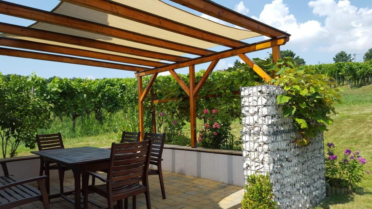 Kellerstoeckl Weinberg Villa Eisenberg an der Pinka Buitenkant foto
