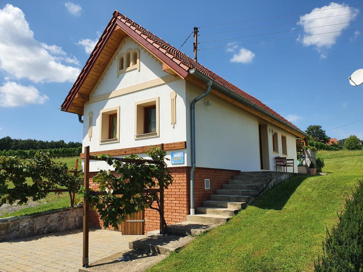 Kellerstoeckl Weinberg Villa Eisenberg an der Pinka Buitenkant foto