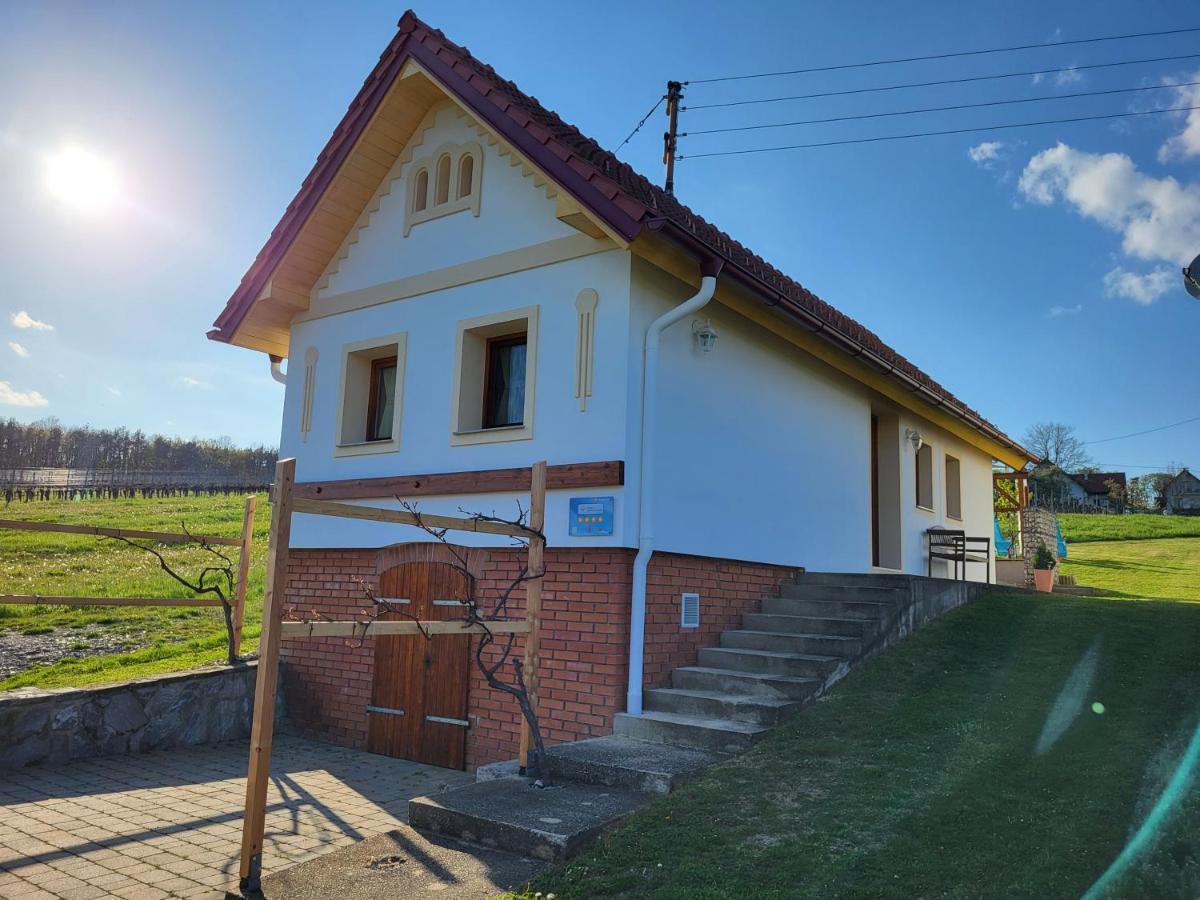 Kellerstoeckl Weinberg Villa Eisenberg an der Pinka Buitenkant foto